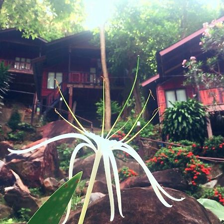 Phi Phi Green Hill Resort Extérieur photo