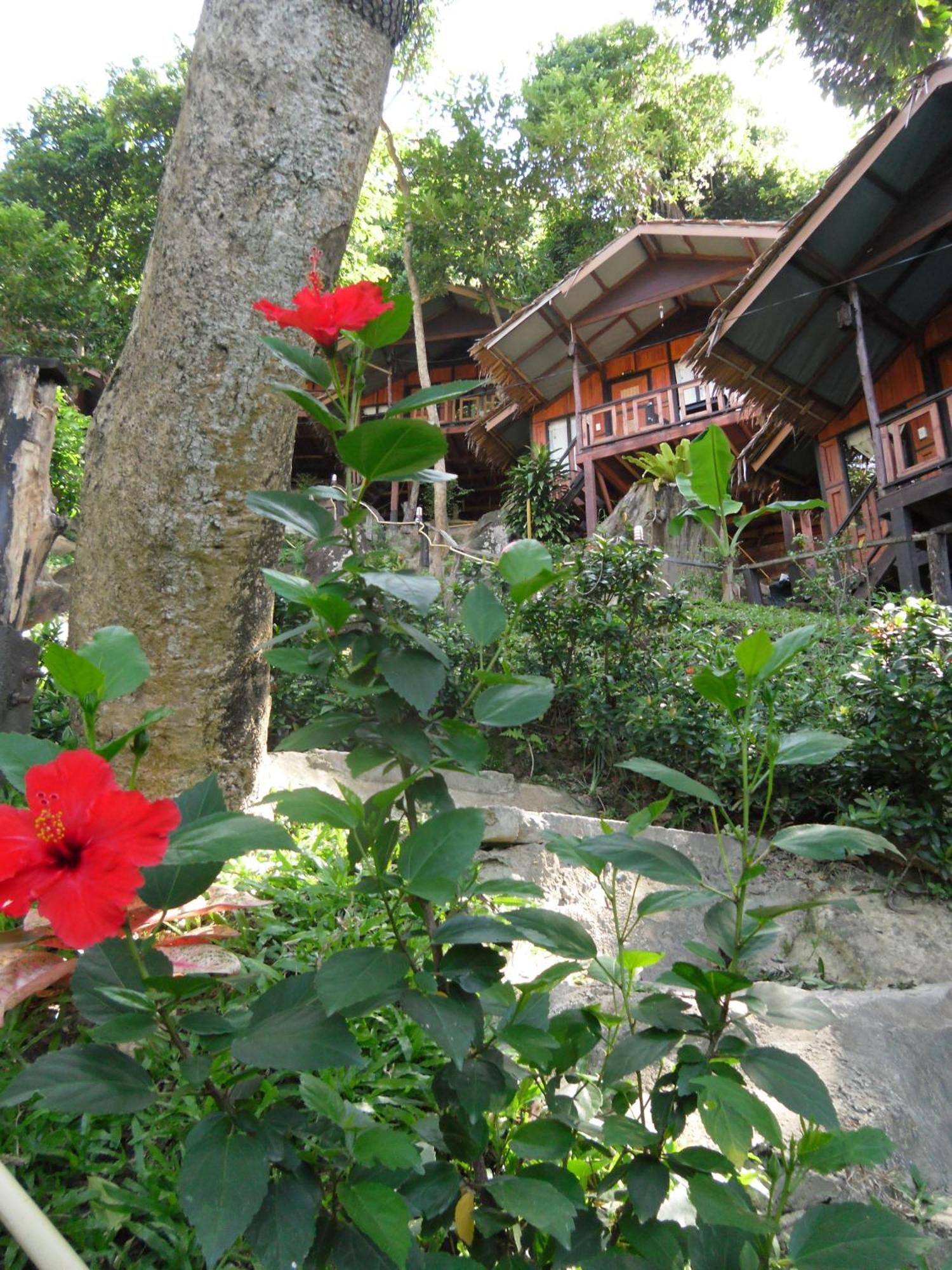Phi Phi Green Hill Resort Extérieur photo