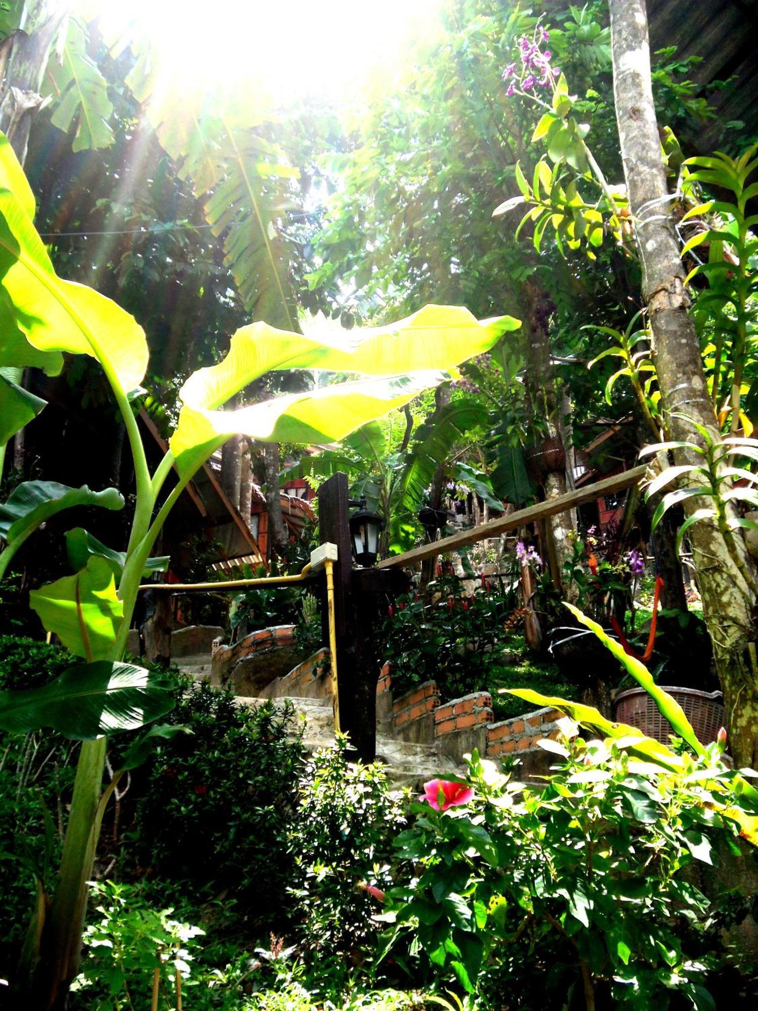Phi Phi Green Hill Resort Extérieur photo
